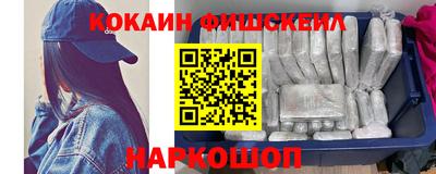 тгк Бийск