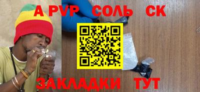 тгк Бийск