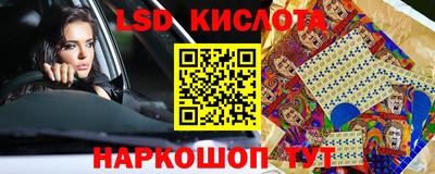 тгк Бийск