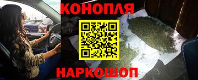 тгк Бийск