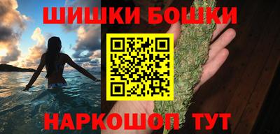 тгк Бийск