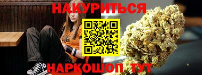 тгк Бийск