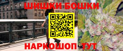 тгк Бийск