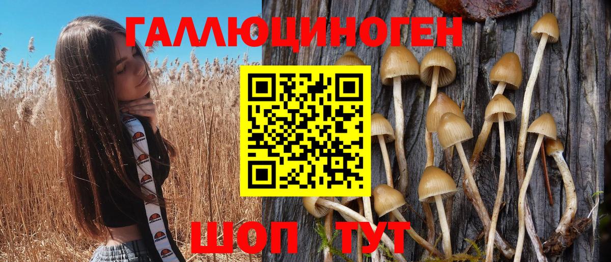 Псилоцибиновые грибы MAGIC MUSHROOMS  Псилоцибиновые грибы MAGIC MUSHROOMS  Вход с VPN  Зеленодольск 